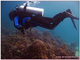 Filippine 2015 Dive Boat Pinuccio e Doni - 163